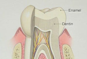 Bradford Family Dentistry Tooth Enamel