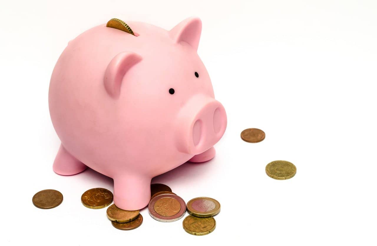 Piggy Bank Savings Don't Waste Money