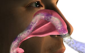 Why-nasal-breathing-is-important-breathe-through-your-nose-Bradford-Family-Dental