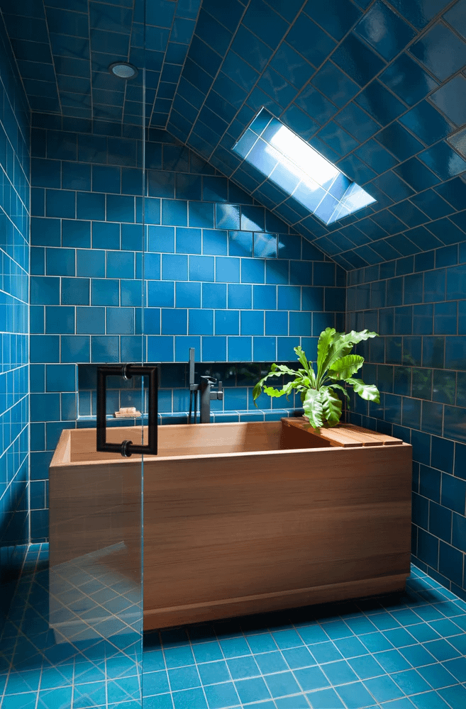 2019-Regional-NARI-CotY-Award-for-bathroom-remodel-tub-and-skylight