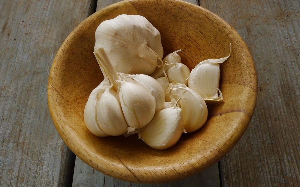 garlic-is-effective-home-remedy-for-toothache