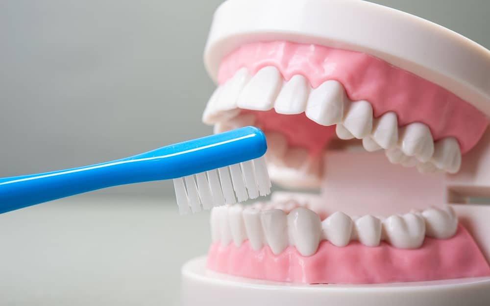 best-brushing-technique-with-the-right-toothbrush