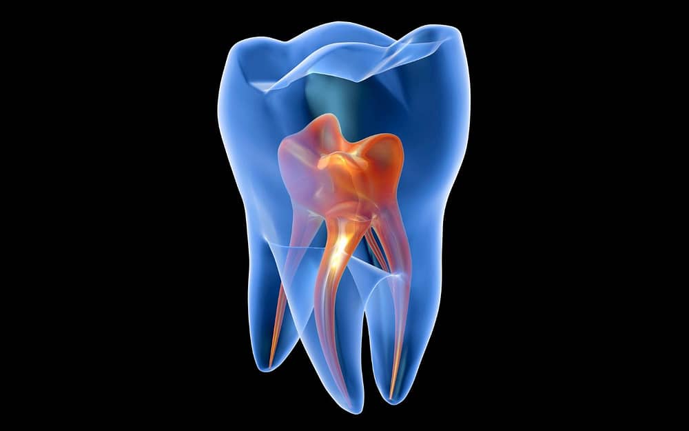 the-causes-of-actual-toothaches-what-you-need-to-know-about-toothaches