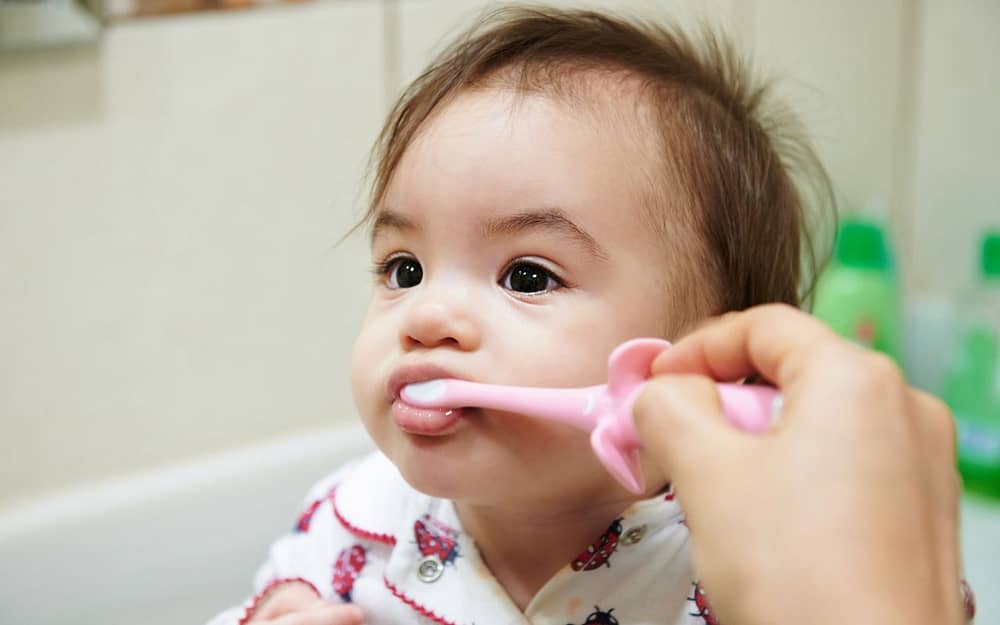 how-to-teach-kids-to-brush-their-teeth-brush-their-first-tooth-as-soon-as-it-appears