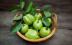 chew-guava-leaves-for-toothache